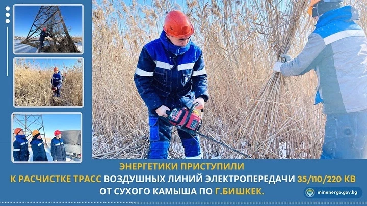 Энергетики приступили к расчистке трасс воздушных ЛЭП от сухого камыша по Бишкеку