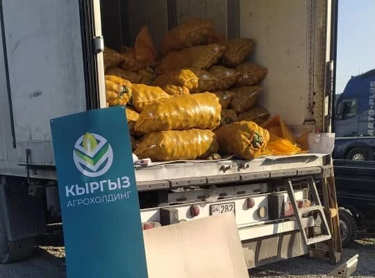 «Кыргыз Агрохолдинг” организовал поставку картофеля по социальной цене в Джалал-Абадскую и Ошскую области