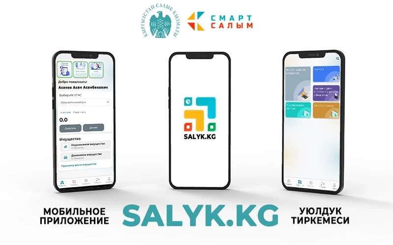 Налоговая запустила мобильное приложение Salyk.kg