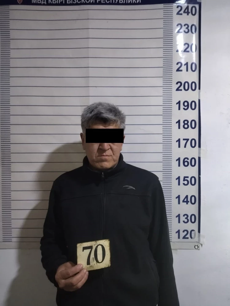 В Чуйском районе задержан подозреваемый в присвоении 35 лошадей