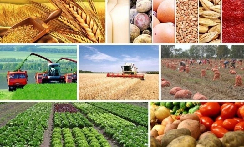 Мониторинг цен на продукты питания Кыргызстан, Казахстан, Россия