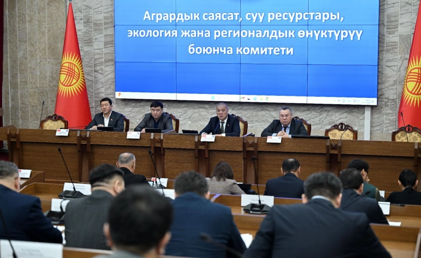 Комитет Жогорку Кенеша одобрил законопроекты о запрете гидроциклов на Иссык-Куле, Водный и Земельный кодексы в третьем чтении
