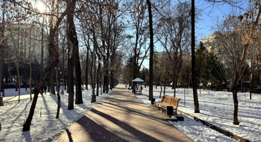 Днем до 12° тепла — прогноз погоды на 17 февраля по Узбекистану