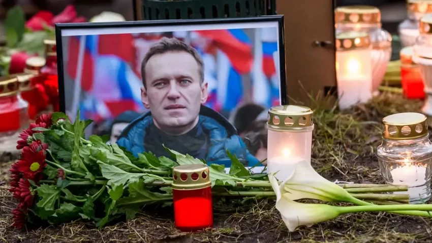 СМИ: Глава МИД Германии полгода блокировала обмен Навального