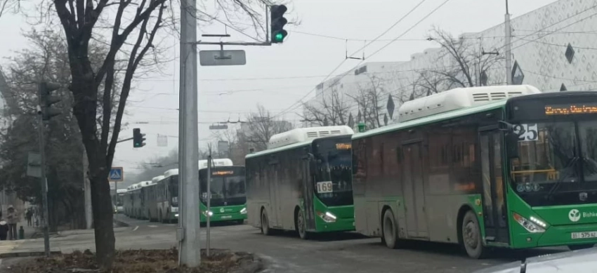 «Надо водителей автобусов отправлять в Дубай на неделю»