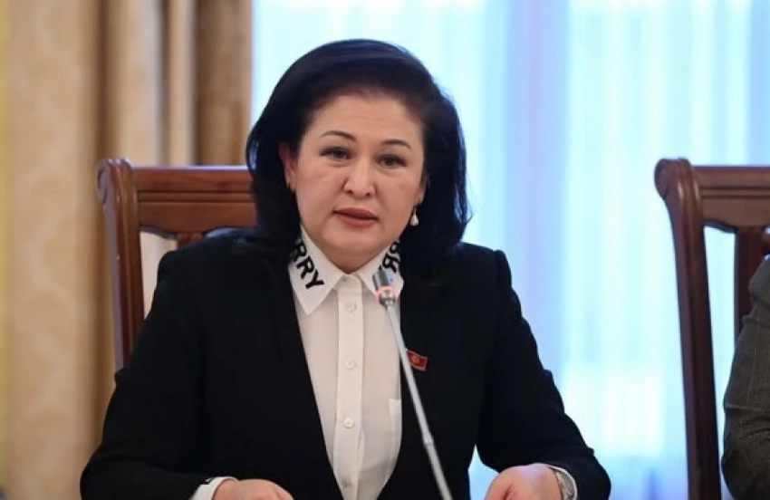 Экс-депутат ЖК Гулшаркан Култаева избрана членом ЦИК