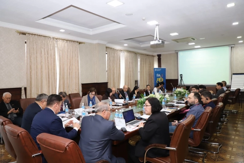 ФАО помогает Кыргызстану в разработке кодекса по охране труда в рыболовстве