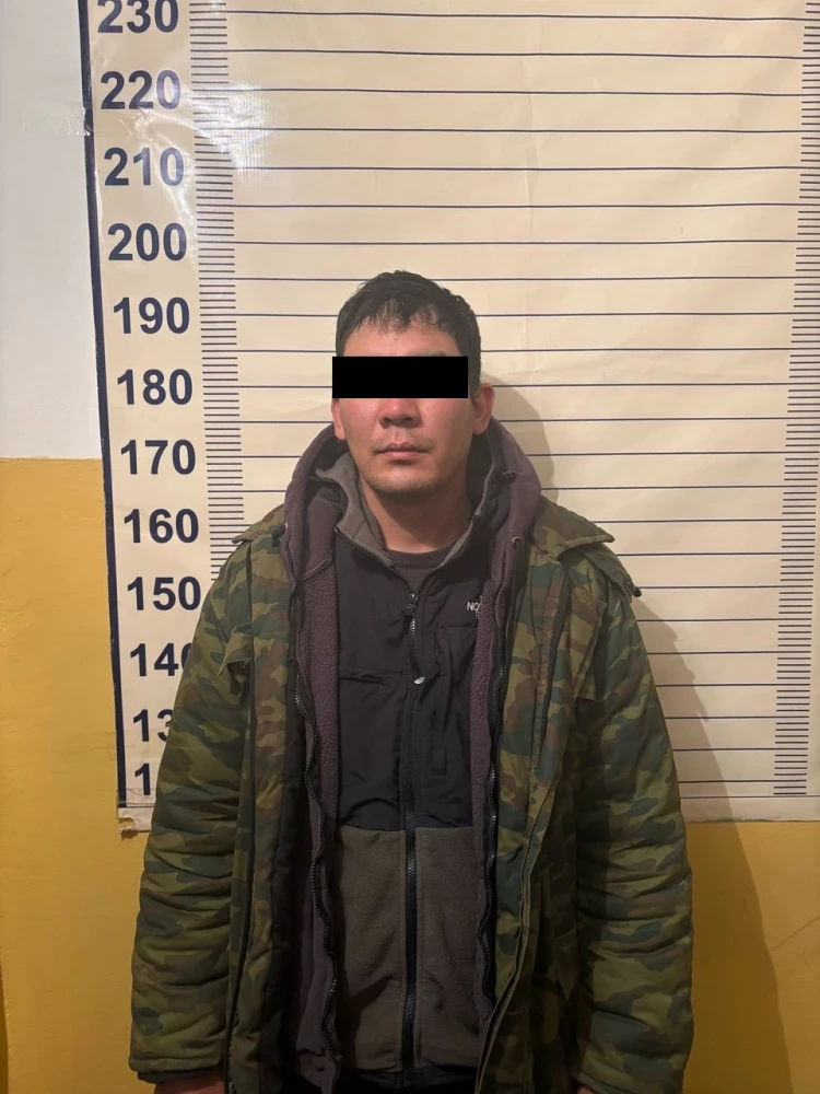 С пастбища в Чуйской районе украли лошадей. Задержан подозреваемый