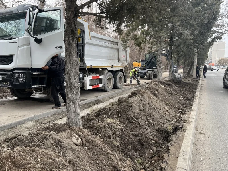 В Бишкеке проводят работы по понижению грунта для улучшения состояния зеленых насаждений