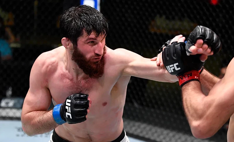 Магомед Анкалаев забрал титул у рекордсмена UFC Алекса Перейры
