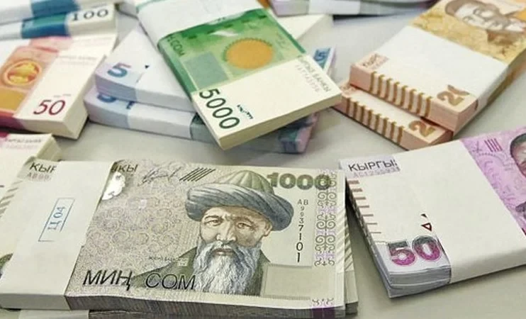 Неналоговые доходы бюджета Кыргызстана в 2024 году достигли 100,7 млрд сомов