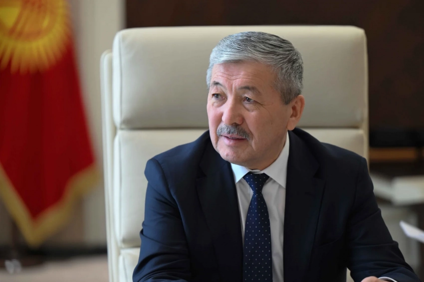 Адылбек Касымалиев провел встречу с группой американских врачей-кардиохирургов