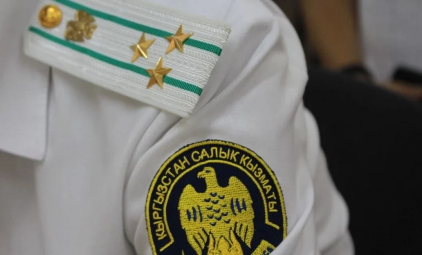 ГНС с начала года собрала 41,4 млрд сомов налогов