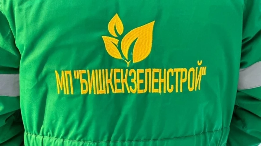 На чиновников «Бишкекзеленстроя» завели уголовное дело