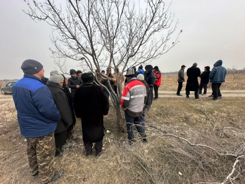 В Ноокатском районе Ошской области провели семинар по обрезке деревьев