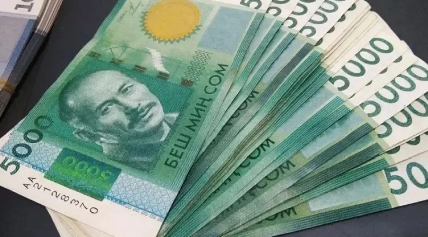 В Госагентстве по земельным ресурсам выявили нарушения на 159 млн сомов