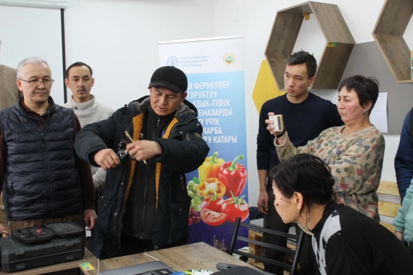 ФАО учит фермеров Кыргызстана правильно подбирать семена