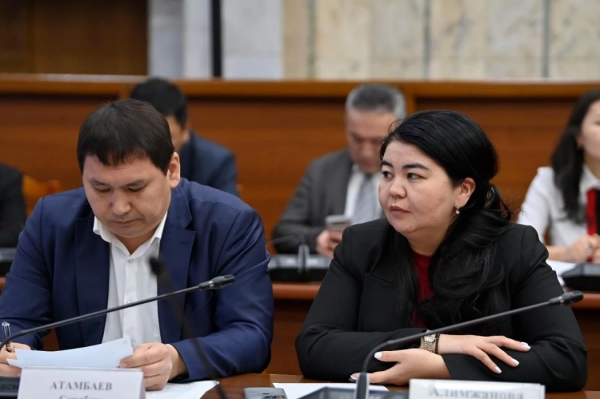 В ЖК рассмотрели законопроект о СМИ и меры по безопасности детей