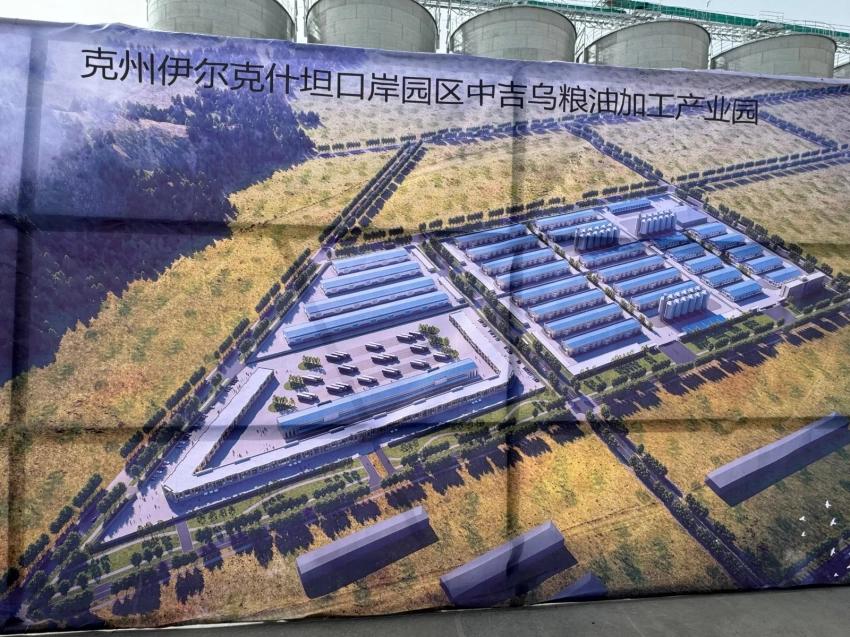В Китае открылся Контрольный склад Кыргызстана