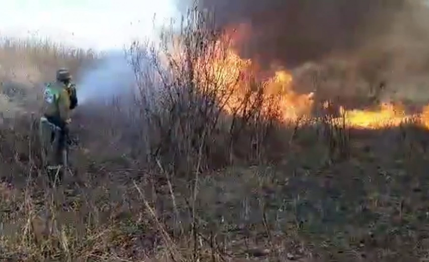 Три пожарных расчета и 28 спасателей тушат пожар в Чуйской области (видео)