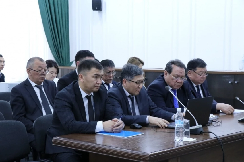 В Минприроды выявлены нарушения на 494 млн сомов по итогам аудита