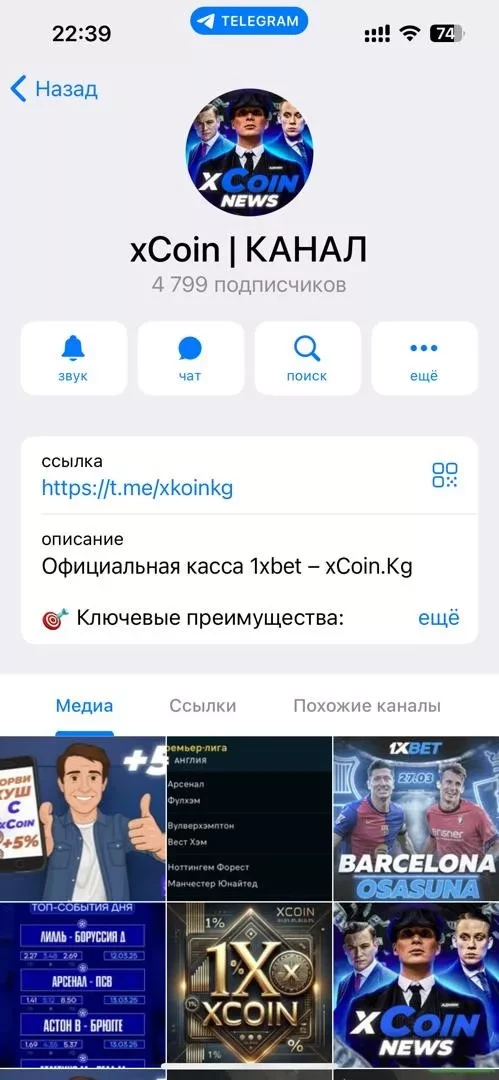 МВД Кыргызстана пресекло нелегальную работу Telegram-бота, связанного с онлайн-казино 1Xbet
