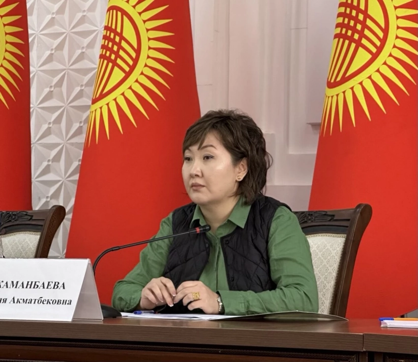 Акыйкатчы КР призвала госорганы защитить права лиц, страдающих психическими расстройствами