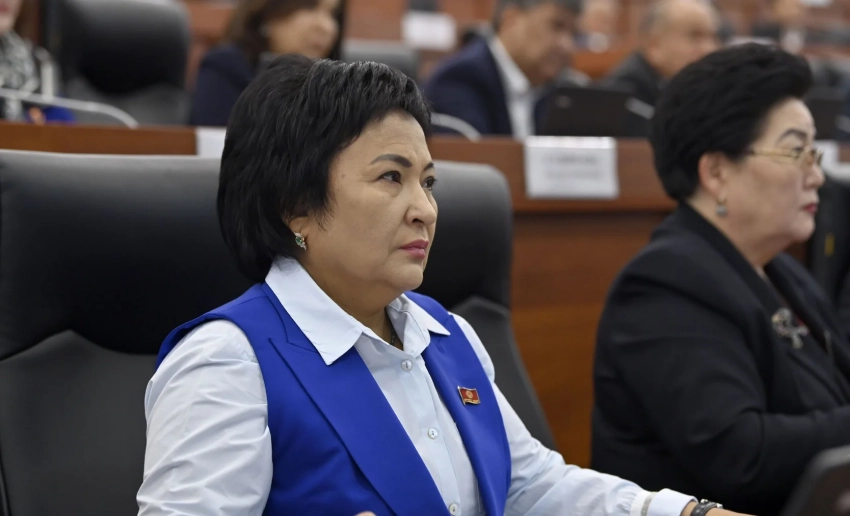 Если парламент покинет женщина-депутат, то на ее место может прийти только женщина -Тынчтык Шайназаров о новом законе о выборах