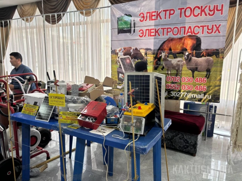 Дроны, "электропастух" и ИИ. Репортаж с выставки технологий для сельского хозяйства