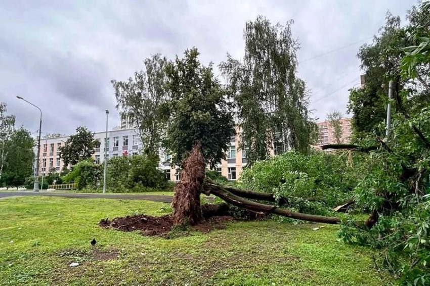 В Хакасии более 30 человек пострадали в результате урагана