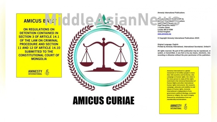 Amnesty International направила в Конституционный суд Монголии Amicus Curiae