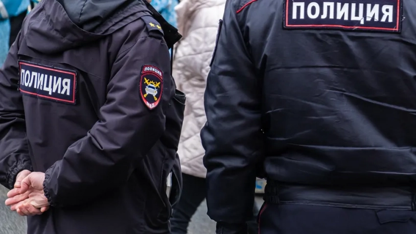 МВД РФ ответило МИД КР: Полиция Москвы не нарушила закон с гражданами Кыргызстана