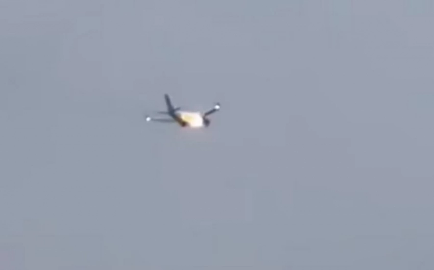 В США двигатель самолета загорелся из-за кролика