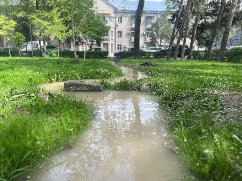 В «Бишкекзеленстрое» рассказали, откуда берут воду для полива