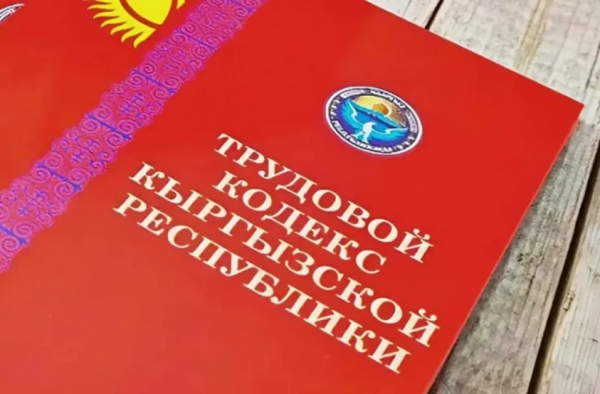 Удаленка, частичная занятость, труд беременных - новые нормы в Трудовом кодексе