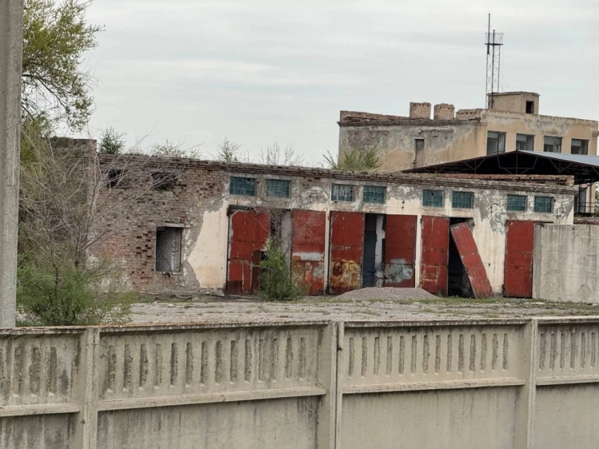 Крупный племенной птицезавод в Ысык-Атинском районе планируют возродить