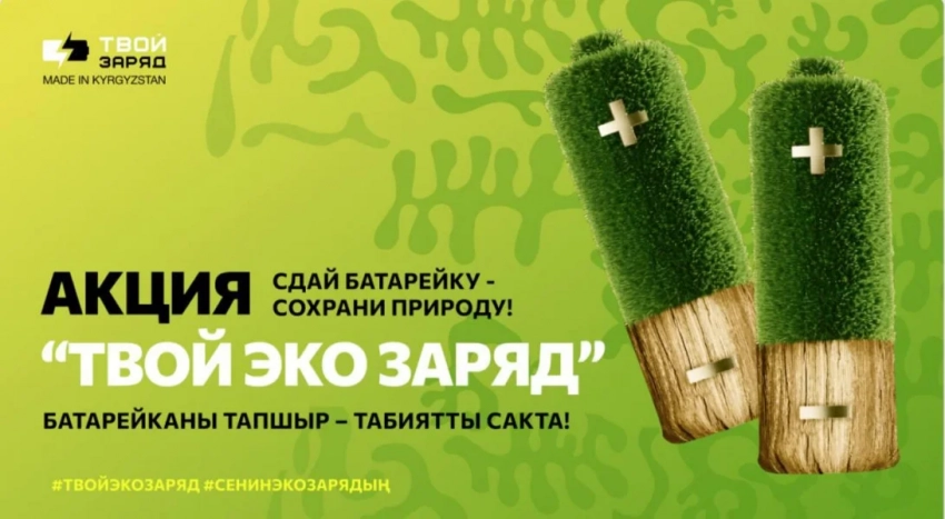 В Бишкеке школа, собравшая больше всего старых батареек, получит новую площадку
