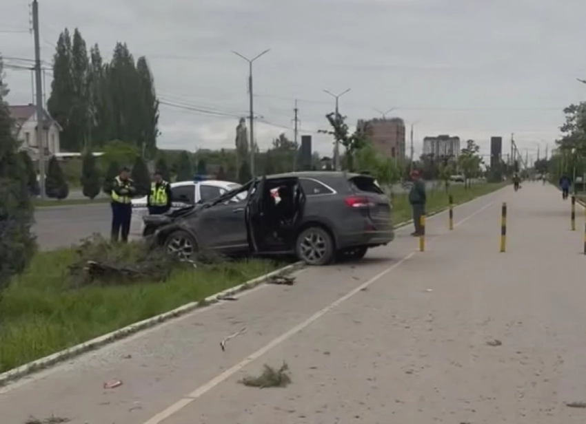 На Южной магистрали KIA перевернулся и снес несколько туй (видео)
