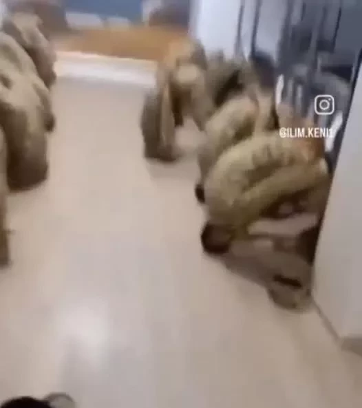 Военная прокуратура Кыргызстана возбудила уголовное дело против офицера МЧС за насилие над солдатами