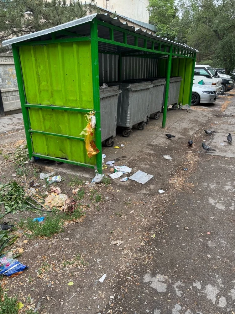"Полная антисанитария". Жители просят убрать мусорные баки за пределы двора (видео)