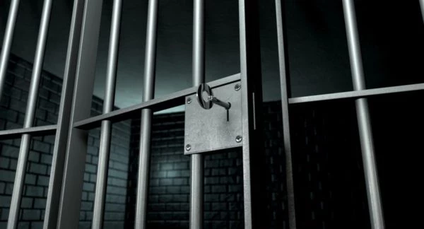 Во Франции хирурга приговорили к 20 годам колонии за изнасилование почти 300 детьми