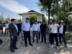 В Кара-Суйском районе выращивают высокие сорта хлопка и новые сорта винограда