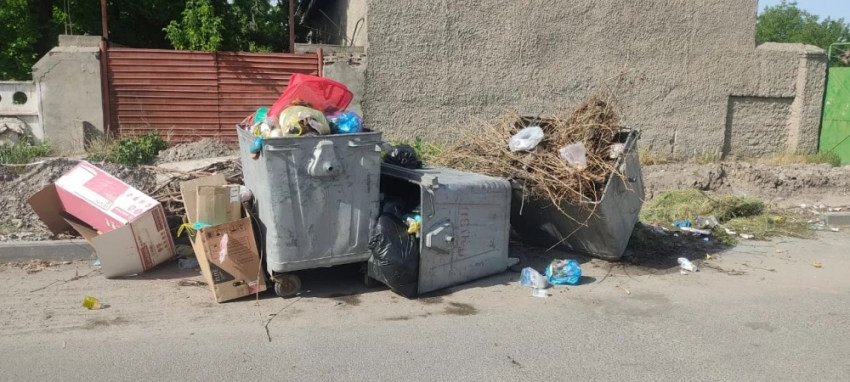 "Вонь, крысы и беспорядок". Горожане жалуются на мусор