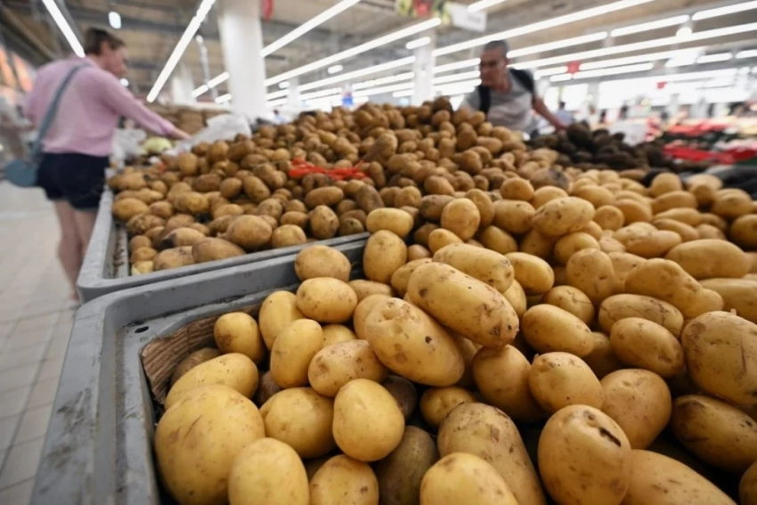 Картофель по цене мяса: в России за год клубни подорожали почти втрое