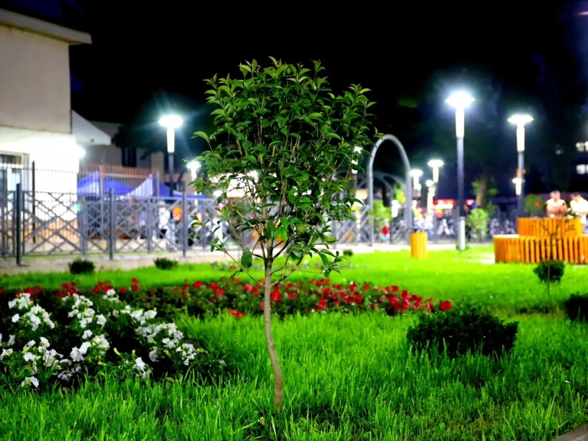 В Джалал-Абаде открыли Молодёжную аллею