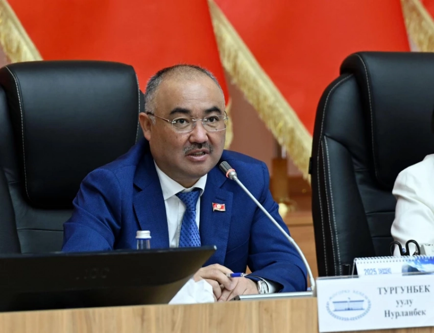 Спикер ЖК: Если нет критики и замечаний, то какой смысл в парламенте?