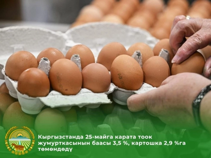 Сравнительный анализ стоимости продуктов в Кыргызстане, России и Казахстане