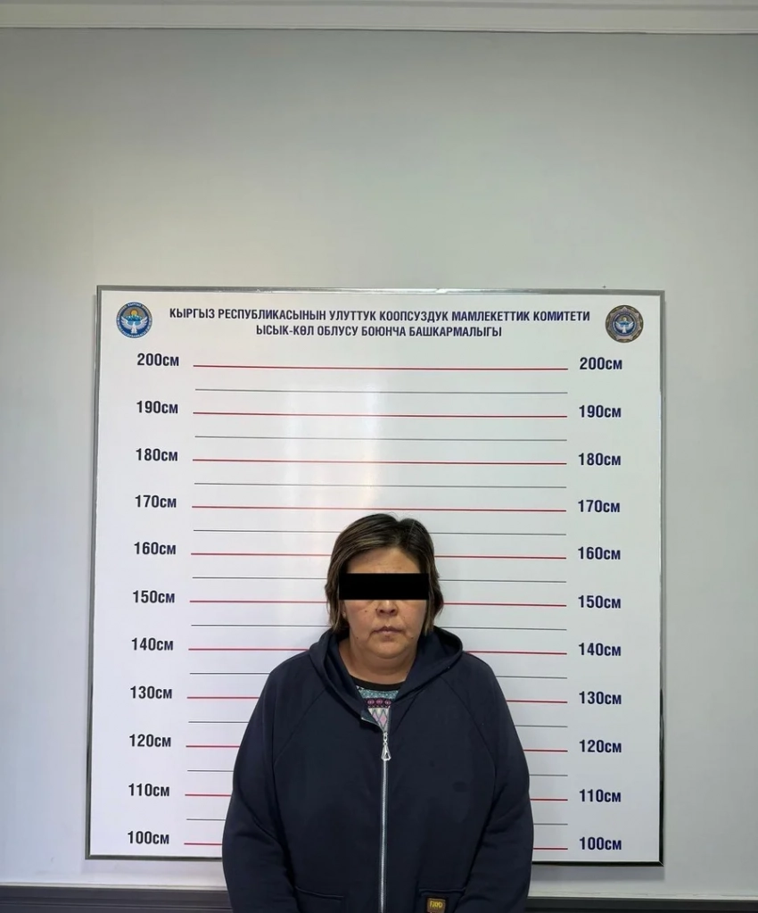 На Иссык-Куле задержана бывшая замглавы айыл окмоту по делу о махинациях с участками
