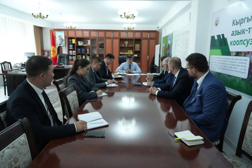 Кыргызстан и Венгрия обсудили проект по обеспечению сёл питьевой водой