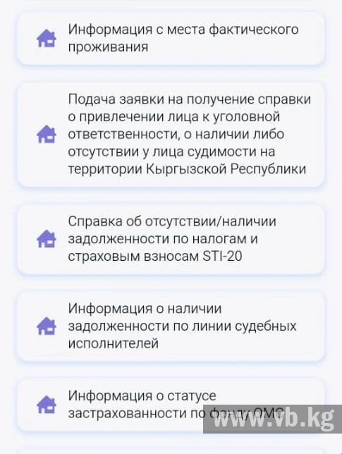 Как кыргызстанцы могут получить справки о несудимости онлайн